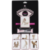 Secretplay - Juego Parejas Memory Play (Es/En/It/Fr/Pt) de Secretplay 100% Games | Piumer