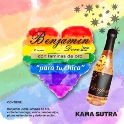 Benjamín Dore Para Tu Chica Gay de Diablo Picante | Piumer