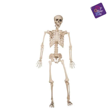 Esqueleto