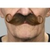 Bigote