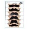 Set 6 bigotes one size