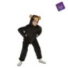Chimpancé 5-6 años
