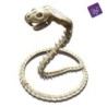 Cobra esqueleto