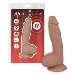 Mr Intense - 17 Pene...