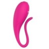Coco Vibrador Pinzas de Nalone | Piumer Erotic