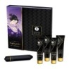 Shunga - Kit Geisha Naughty de Shunga Kits | Piumer