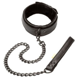 Boundless Collar Con Correa de Calexotics | Piumer