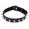 Collar De Pinchos de Ohmama Fetish | Piumer