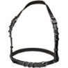 Euphoria Arnés Hatler Con Hebilla Negro de Calexotics | Piumer