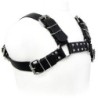 Black Bull Dog Harness de Leather Body | Piumer